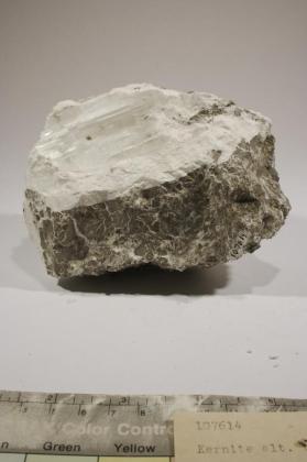 Kernite