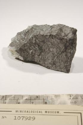 Pararammelsbergite