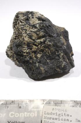 Ludwigite