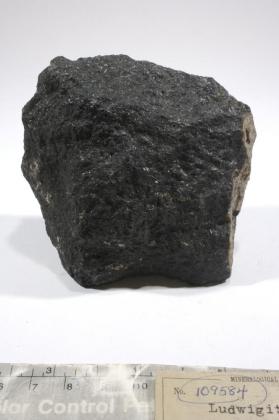 Ludwigite