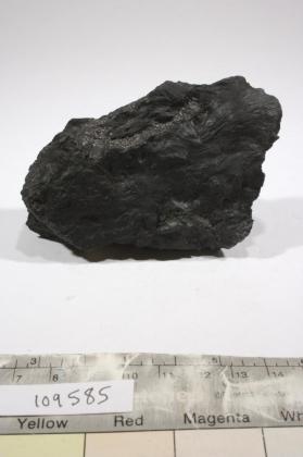 Ludwigite