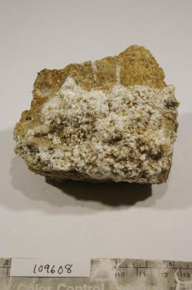 Mcallisterite