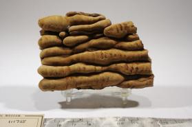 ARAGONITE