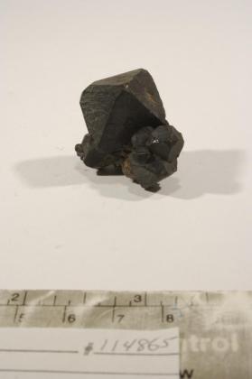 SPINEL