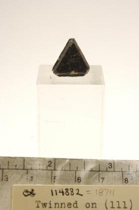 SPINEL