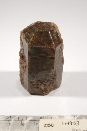 FLUORAPATITE