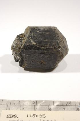 Hornblende