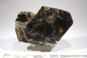 Muscovite