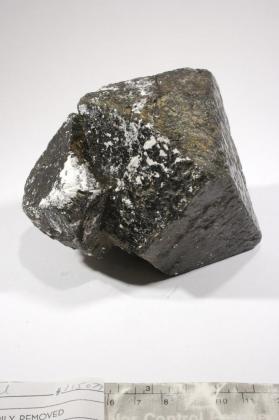 SPINEL