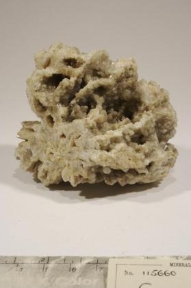 CERUSSITE with ANGLESITE