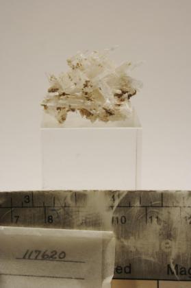 Meyerhofferite