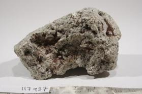 Richterite