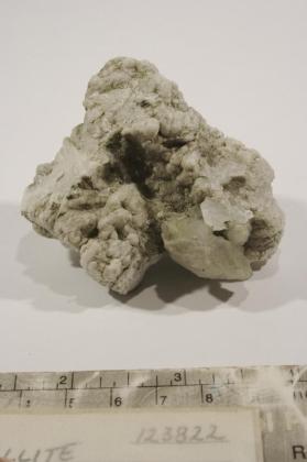 Tunellite