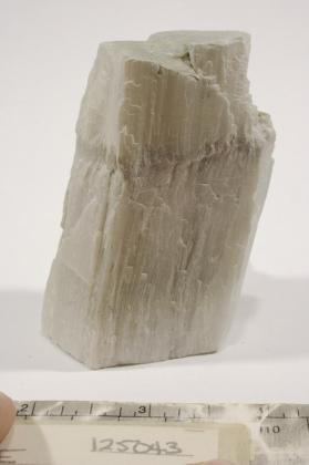 Ulexite