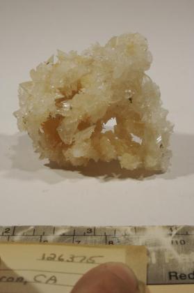 Colemanite