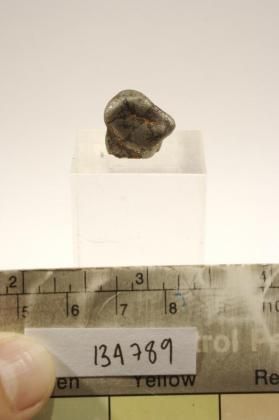 Oregonite