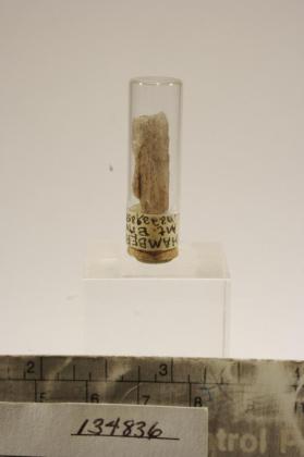 Hambergite