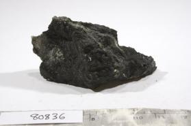 Ludwigite