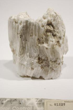 Ulexite