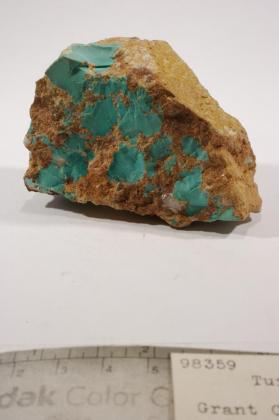 Turquoise