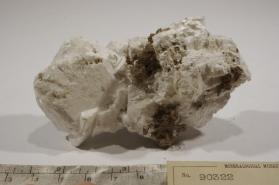Meyerhofferite