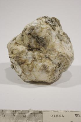 Ulexite