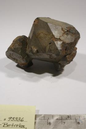 SPINEL