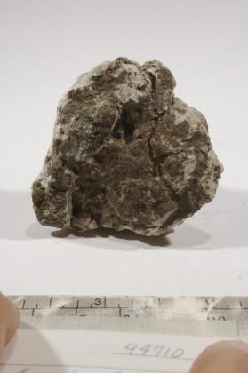 Probertite