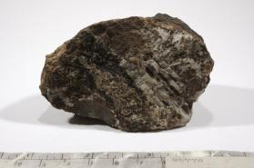 Sarkinite