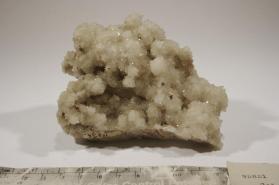 Colemanite