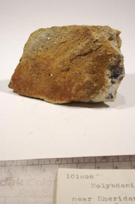 Molybdenite