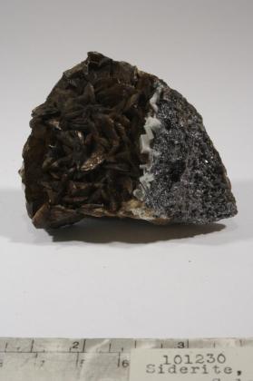 Siderite