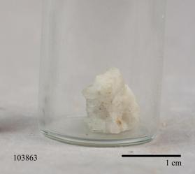 FLUORAPATITE with Albite