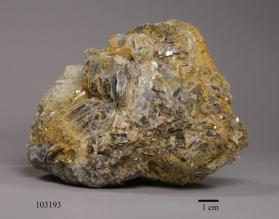 Muscovite