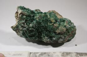 MALACHITE with CHRYSOCOLLA