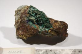 MALACHITE with Azurite and Chalcopyrite