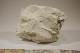 Hydrozincite