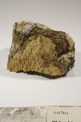 Siderite