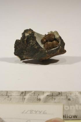 Siderite