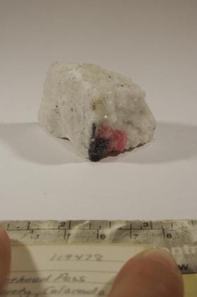 RHODOCHROSITE with Molybdenite