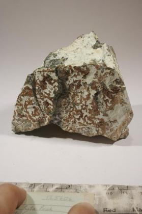 Morganite with Albite and ELBAITE and Muscovite