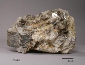 Muscovite