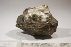 CALCITE