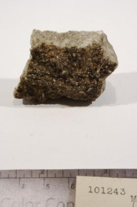 turnerite