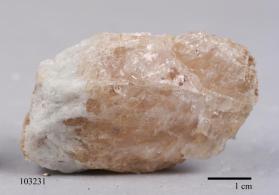 Morganite