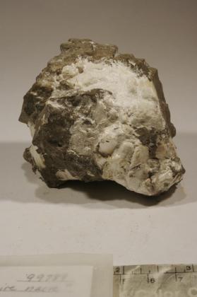 calcaire nacre