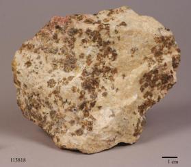 Garnet Group