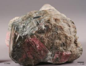 Actinolite with Antigorite and Rhodonite