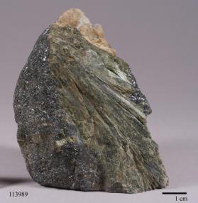 Actinolite