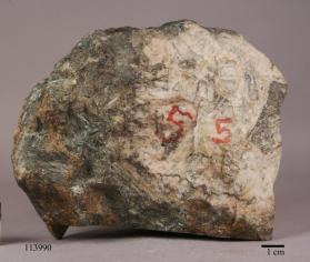 Actinolite